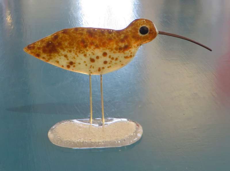 Curlew II